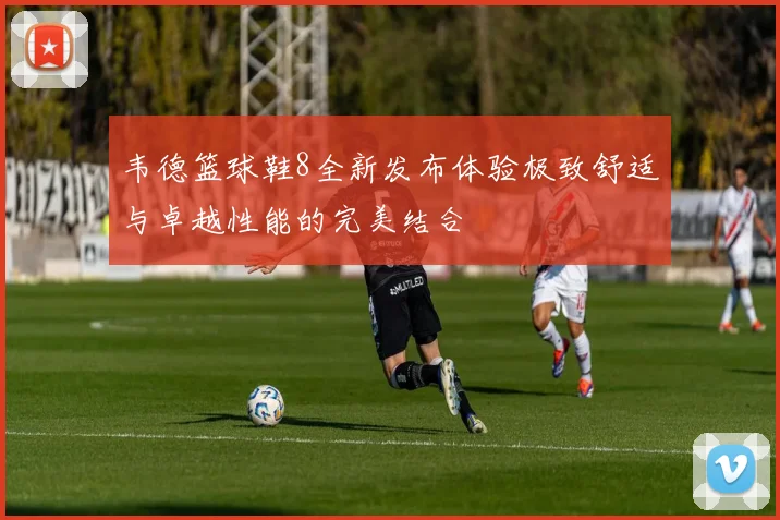 韦德篮球鞋8全新发布体验极致舒适与卓越性能的完美结合