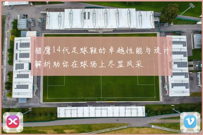 猎鹰14代足球鞋的卓越性能与设计解析助你在球场上尽显风采