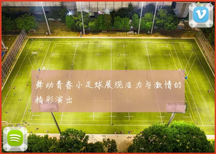 舞动青春小足球展现活力与激情的精彩演出